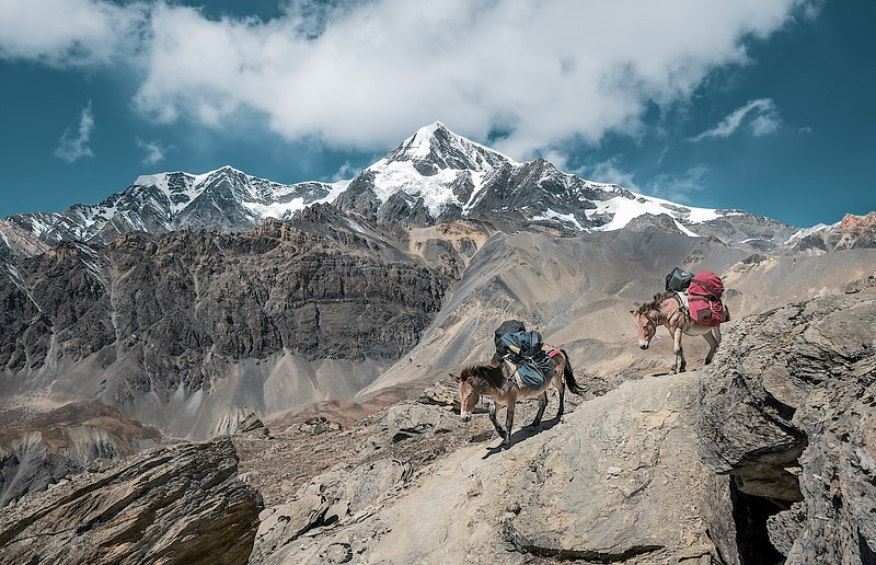 Trekking in Tibet